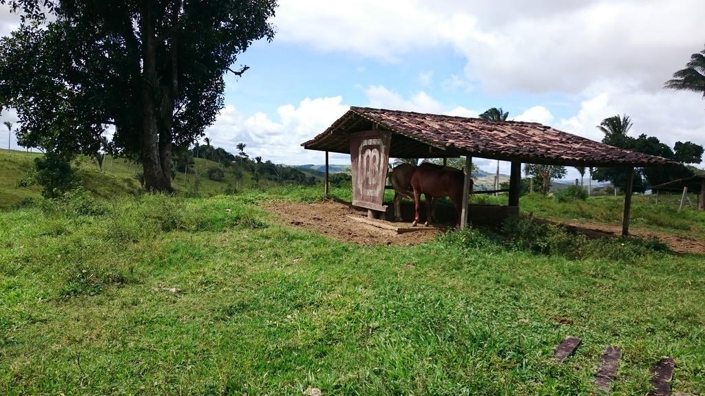 Hotel Fazenda Agua Branca Bonito  Exterior photo